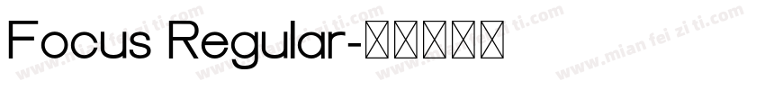 Focus Regular字体转换